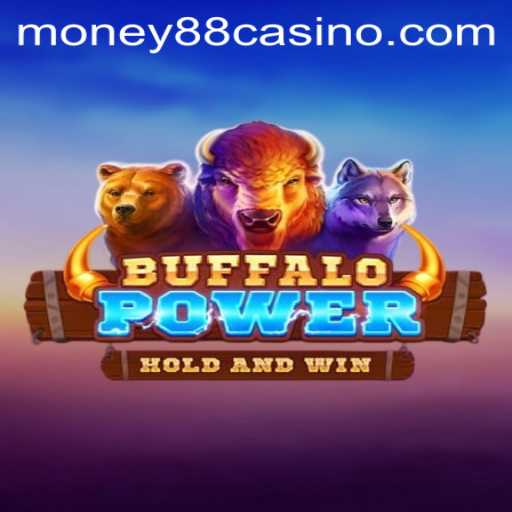 BuffaloPower: Exploring the Wilderness of Casino Gaming